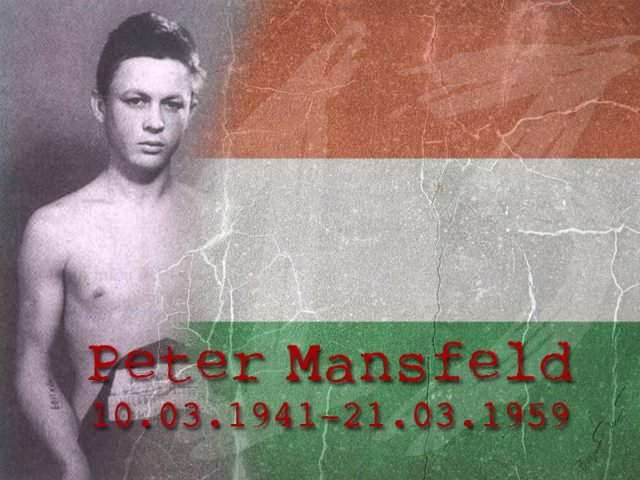 Peter Mansfeld